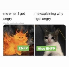 Enfp When Angry, Enfp Funny, Enfp Art, 16 Personalities Enfp, Enfp Things, Personalidad Enfp, Intj Enfp