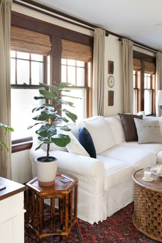 a living room filled with furniture and a potted plant on top of a table