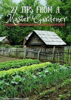 the cover of 27 tips from a master gardener, with an image of a garden