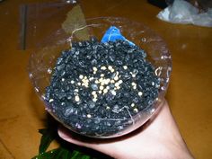 a person holding a bowl filled with black beans