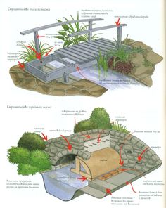 the diagram shows how to build an underground well for plants and water source, as well as other things that can be seen here