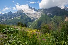 the mountains are covered in snow and green plants with wildflowers growing on them