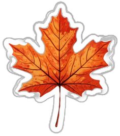 an orange maple leaf sticker on a white background