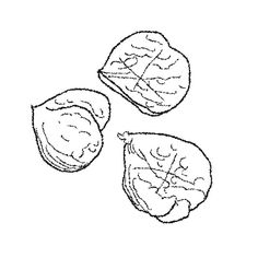 three pieces of fruit are shown in black and white