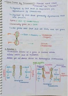 Chromosome and genetics biology Hand written Notes by best chemistry teacher Sir Asadullah Mastoi Science Tricks Student, Genetics And Inheritance Notes, Dna Notes