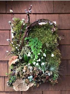 a basket filled with lots of plants on top of a wooden wall