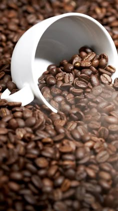 coffee beans spilling out of a white cup on top of a pile of coffee beans