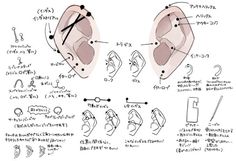 an ear diagram with various parts labeled in english and japanese characters, including the ears