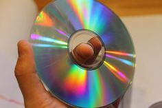 a person holding a cd in their hand