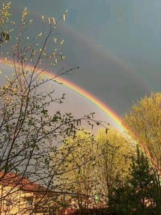 a rainbow in the sky over some trees