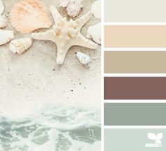 the color palette is brown, green, and white with some sea shells on it