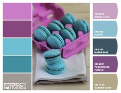 the color scheme is blue and purple, with macaroons in a carton