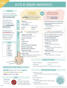 an info sheet describing the different types of chronic patients