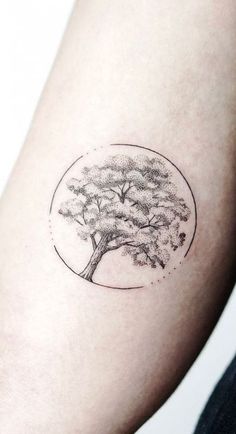 a small tree tattoo on the arm