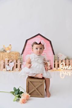 Birthday Photo Shoot, Birthday Photo, Birthday Photoshoot, Baby Photoshoot, Baby Photo, Birthday Photos, Baby Photos, Photo Shoot, 1st Birthday