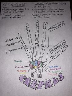 a hand drawn diagram on paper with words describing different parts of the human body and their functions