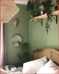 a bedroom with green walls and wicker headboard, plants on the shelf above the bed