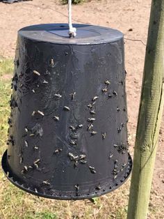 a close up of a black bird feeder on a wooden pole near grass and dirt