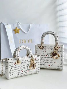 Tas Dior, Famous Clothes, Expensive Bag, Dream Bags, Luxury Bag, Mini Fridge