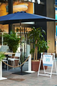 a blue umbrella sitting on top of a sidewalk next to a palm tree and potted plants