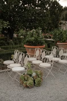 there are many chairs in the gravel near some potted plants and pots with flowers on them