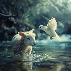 a white bird flying over a sheep in the water