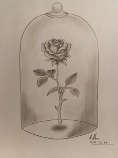 a drawing of a rose in a glass dome