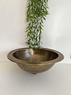 a metal bowl with a plant growing out of it