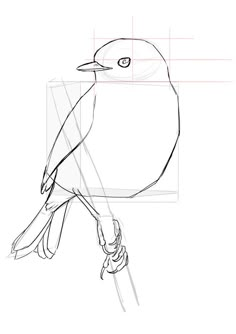 a drawing of a bird sitting on a branch