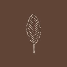 a line drawing of a leaf on a brown background