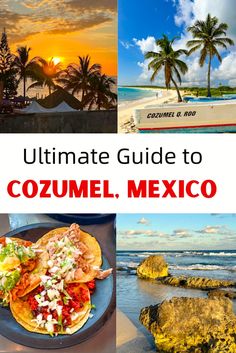 the ultimate guide to cozumel, mexico