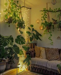 a living room filled with lots of potted plants next to a wall mounted planter