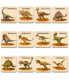 a set of nine coasters with different dinosaurs on them