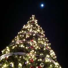 a large christmas tree is lit up at night