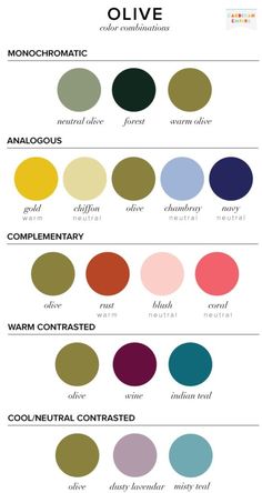 the color chart for olive and other colors