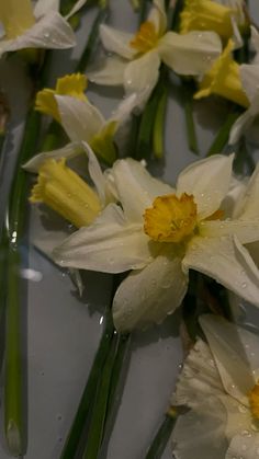 several white and yellow flowers with water droplets on them are floating in the air next to each other