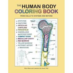 the human body coloring book from cells to systems and beyond