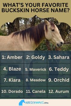 what's your favorite buckkin horse name? info sheet for horses in the field