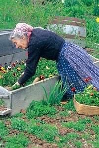 an old woman is tending to her garden