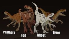 four different types of dinosaurs are shown in this image