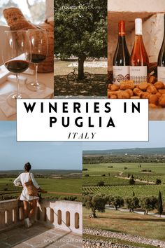 wineries in pugila italy collage with images of wines and breads