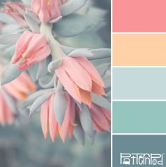 the color scheme is peach, blue and green with some pink flowers on top of it