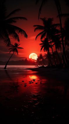 the sun is setting behind some palm trees on the beach in front of the ocean