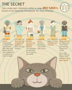 an info sheet describing the power of cat purrs