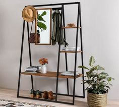 a room with a shelf, mirror and potted plant on the floor next to it