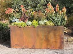 a metal planter with succulents and other plants in it on the ground