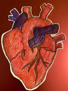 a drawing of a human heart on a red background with colored crayon pencils