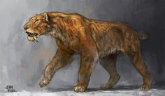 a drawing of a lion walking across a floor