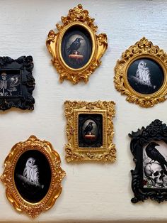 six framed pictures on a white wall with gold trimmings and ornate frames in different styles