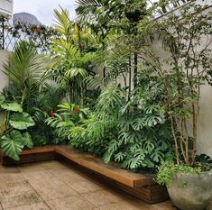 an outdoor garden with lots of plants and trees on the side of the building,